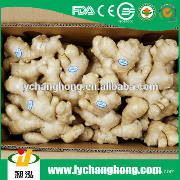 2014 fresh dried ginger/fresh ginger for wholesale/bulk fresh ginger